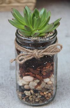 a small glass jar filled with rocks and a succulent in it's top