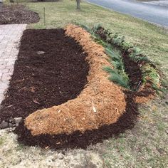 a garden bed made out of mulch and grass