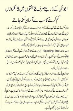 an article in the islamic language