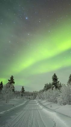 the aurora bore is seen over a snowy road with trees in the foreground and snow on the ground