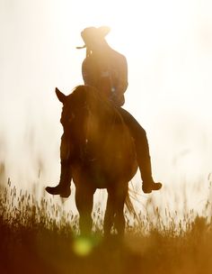 a person riding on the back of a brown horse in a grassy field at sunset