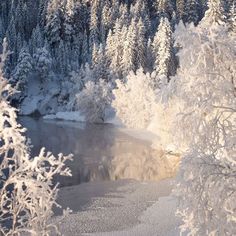 snow covered trees surrounding a lake in the middle of a forest with lots of snow on it