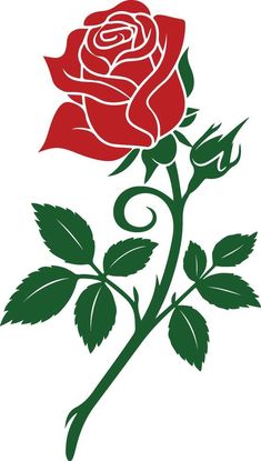 a red rose with green leaves is shown on a white background and has the word love written