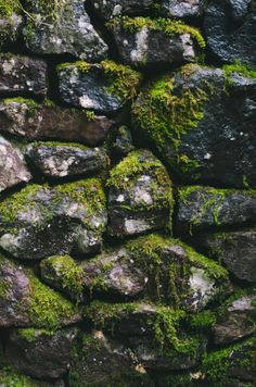 moss growing on the rocks in front of a stone wall