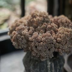 a vase filled with brown flowers on top of a table