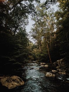 Creek pond river outdoors nature wild adventure explore free wallpaper lockscreen homescreen state park cottage core aesthetic water dark dusk grunge hike hiking green scenery Riley + Core + Aesthetic, Aesthetic Insta Profile, Pictures Couple Aesthetic, Funny Optical Illusions, Adventure Core, Dark Core, Aesthetic Water, Green Scenery, Me Core