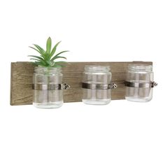 three mason jars are hanging on a wooden shelf with a plant in it and one is empty