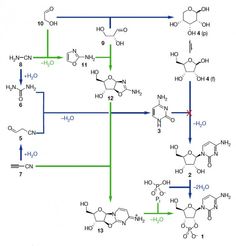 the diagram shows an arrangement of two different types of benzylic acids, one with