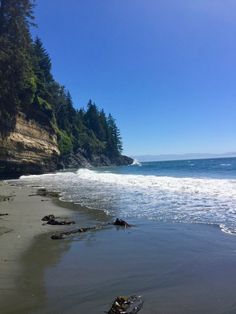 a beach with waves coming in to the shore and trees on the cliff above it