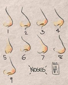 an image of different types of nose shapes