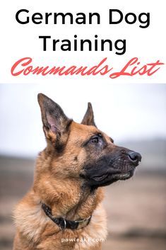 the german dog training commands list