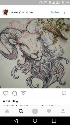 an image of a goat with long hair and horns on it's head, in the middle of a drawing