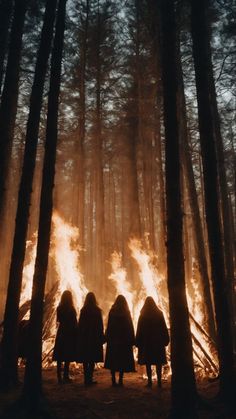 three people standing in front of a forest filled with fire