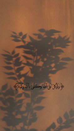 the shadow of a plant with arabic writing on it