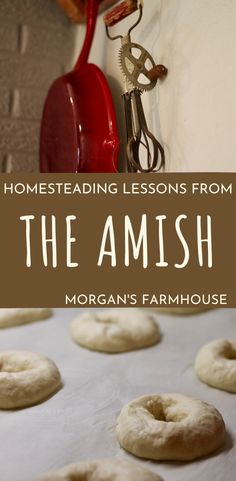 the cover of homesteading lessons from the amish by morgan's farmhouse