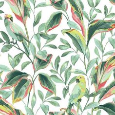 Tropical Love Birds Wallpaper Love Birds Wallpaper, Front Vestibule, Tropical Love, Jungle Bird, House In France, Tropical Art Deco, Art Deco Living, Embroidery Workshop, Coral Wallpaper