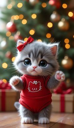 a small kitten wearing a red shirt standing on its hind legs in front of a christmas tree