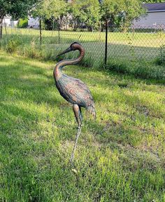 a large bird standing on top of a lush green field next to a metal fence