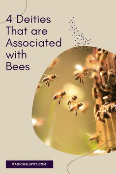 In this article, we'll learn more about the 4 Deities That are Associated with Bees and why are they connected with this animal. Bee Spirit Animal, Black Bee, Bee Hive, Spirit Animal, Christmas Bulbs, Bee