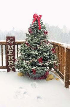 a small christmas tree sitting on top of a snow covered ground