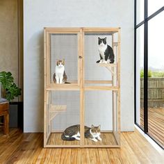 two cats sitting on top of a cage in the middle of a wooden floor next to a window