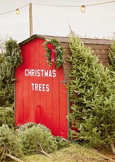 a red shed with christmas trees around it