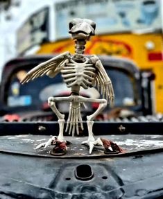 a skeleton sitting on the hood of a car