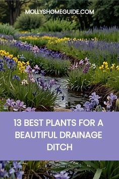 purple and yellow flowers with the words 13 best plants for a beautiful drainage ditch