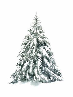 a snow covered pine tree on a snowy day