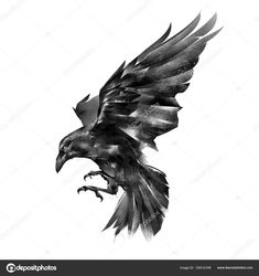 a black and white photo of a bird flying