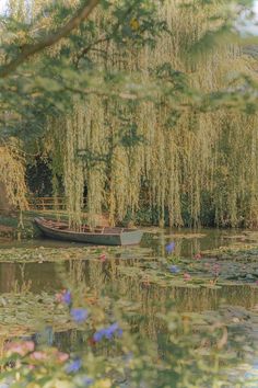 a small boat floating on top of a lake next to a tree filled with leaves