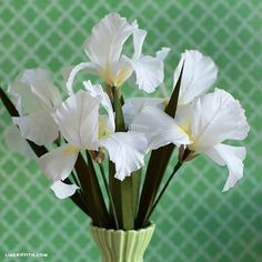 white flowers are in a green vase on a tableclothed wallpaper, with a green background