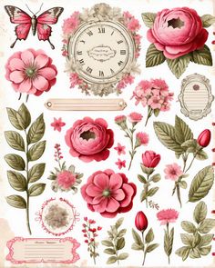 a bunch of pink flowers and leaves on a white background with an old fashioned clock