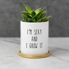 Funny Plant Pot, Succulent Flower Pot, Funny Planter With Drainage, Gardening Gift for Best Friend, Plant Lover Gift, I'm Sexy and I Grow It - Etsy Bangladesh