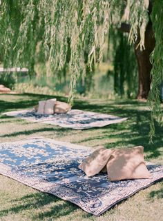 two large pillows are sitting on a blanket under a tree in the grass near some trees