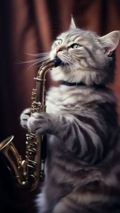 a cat is playing with a saxophone