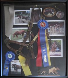 a horse and its bridle are on display in a shadow box with ribbons