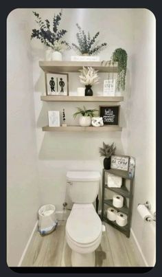 a white toilet sitting in a bathroom next to two shelves filled with plants and pictures