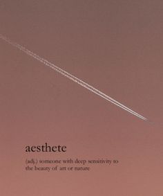 an advertisement for aesthete with a jet in the sky