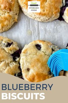 blueberry biscuits on parchment paper with text overlay that reads, blueberry biscuits