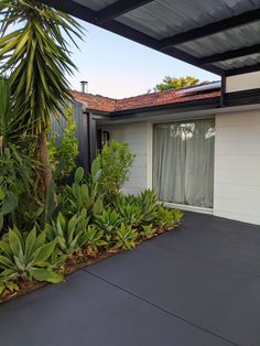 a house that has some plants in front of it