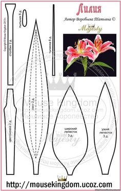 an image of the pattern for a flower vase