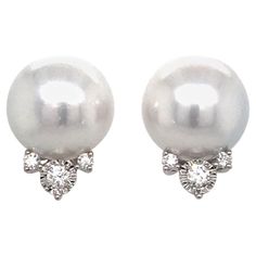 White Gold Stud Earrings, South Sea Pearls Earrings, White Gold Earrings Studs, White Gold Studs, Pearl And Diamond Earrings, Sea Pearl, Diamond Stud Earrings, South Sea Pearls, Sea Pearls