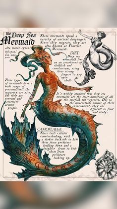 a drawing of a mermaid sitting on top of a blue and orange seahorse with words written