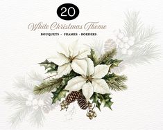 a white christmas theme with poinsettis, holly and pine cones on a watercolor background