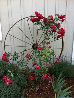 a wheel with flowers growing out of it