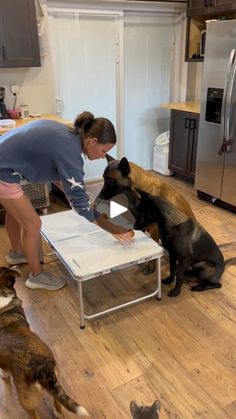 a woman is playing with two dogs in the kitchen