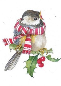 a watercolor painting of a bird on a holly branch with a red and white striped scarf