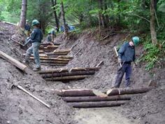 several people are working in the woods with logs