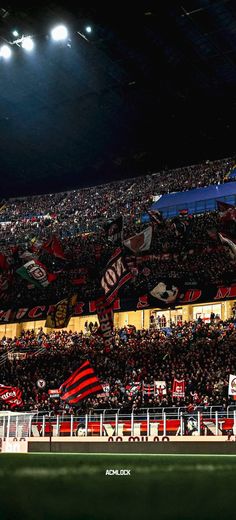 a stadium filled with lots of fans and flags